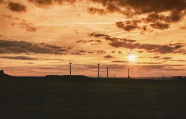 Fototapeta premium Windräder und Feld im Sonnenuntergang