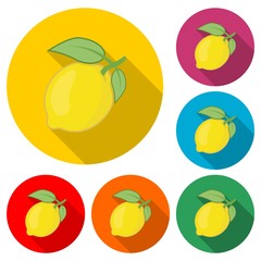 Lemon icon or logo, Citrus fruit, color set  with long shadow
