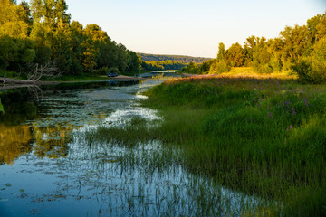 river, river ditches, trees, meadow, herbs, blue, sky, sunset, shadow, nature, observation, walk