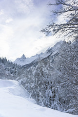 Obraz premium Top Black Tooth Sofrudzhu of the Main Caucasian ridge near the resort village of Dombay