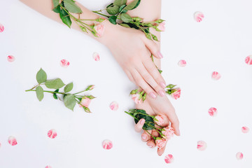 Plakat Close-up beautiful sophisticated female hands with pink flowers on white background. Concept hand care, cream, spa.