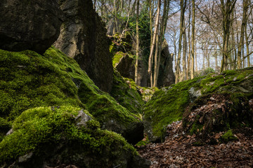 bemooste Felsen