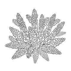 Vector drawing of outline Coral bunch in black isolated on white background. Ornate branch of coral in contour style for summer design or coloring book. Underwater tropical life.