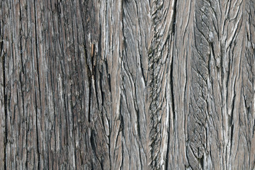 Top view of white planks wood pathway over sea at the port. Close up vintage flooring timber.