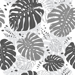 Tropical leaves seamless pattern, Monstera leaf. Vector gray monochrome tropical background © Decobrush