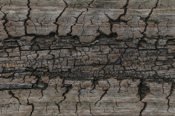 wood texture. background old panels.old wooden textures for web background
