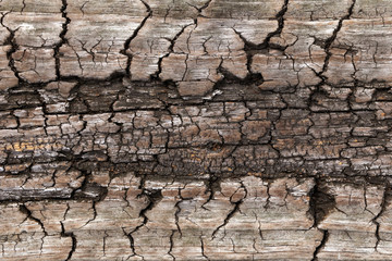 Wood texture. Old wood background. Wooden background pattern.
