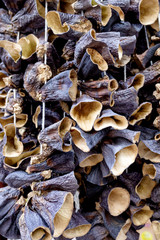 Dried eggplant hanging on sale at shop, background