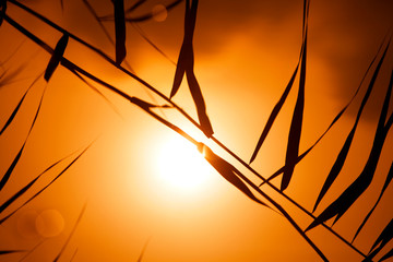 environmental concept,