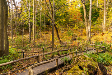 Autumn in Central Park 