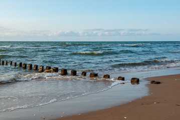 wooden poles from old breakwater leftovers in the sea