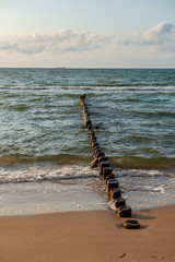 wooden poles from old breakwater leftovers in the sea