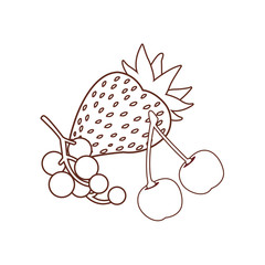 delicious and fresh fruit