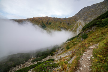 Fototapeta na wymiar large misty cloud climbing mountain valley in slovakia, Tatra