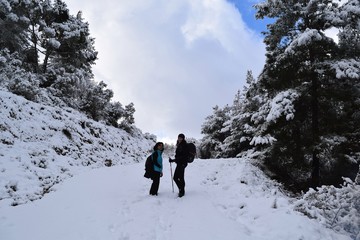  Hiking. From a hikes on the Karia trail.Turgut Castle. The Hydas Acropolis.Karia is on the way. Mugla. Turkey. tourism in pine forest Hike Turkey