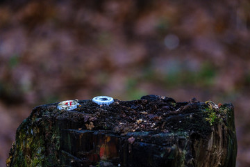 illegal dumpster in wet damp forest in autumn
