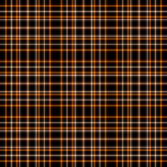 Fototapeta premium Tartan!!!!!