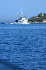 cruise ship in the sea