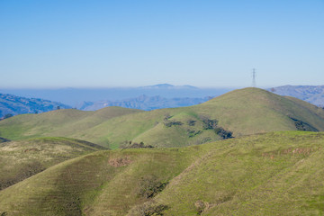 Fototapeta na wymiar Rolling green hills and Mount Diablo in the background, Sierra Vista Open Space Preserve, south San Francisco bay, California