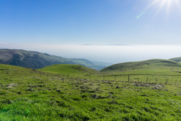 Fototapeta na wymiar Fog covering San Jose as seen from Sierra Vista Open Space Preserve, south San Francisco bay, California