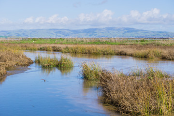 Running creek after a week of rain on the bay trail near Sunnyvale, south San Francisco bay area, California