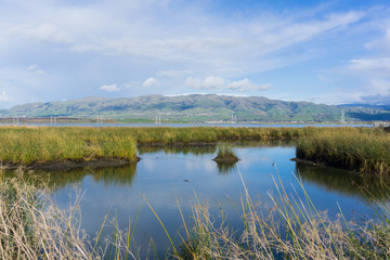 Fototapeta premium View towards Mission Peak; waterways at; Don Edwards Wildlife Refuge, south San Francisco bay, Alviso, San Jose, California