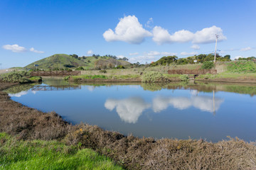 Fototapeta na wymiar Pond in Don Edwards wildlife refuge, view towards Coyote Hills Regional Park, Fremont, San Francisco bay area, California