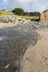 Creek flowing in to the Pacific Ocean at low tide, Moss Beach, Fitzgerald Marine Reserve, California