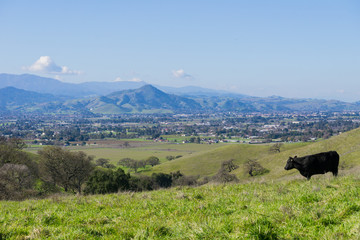 View towards Morgan Hill from Coyote Lake - Harvey Bear Park, California