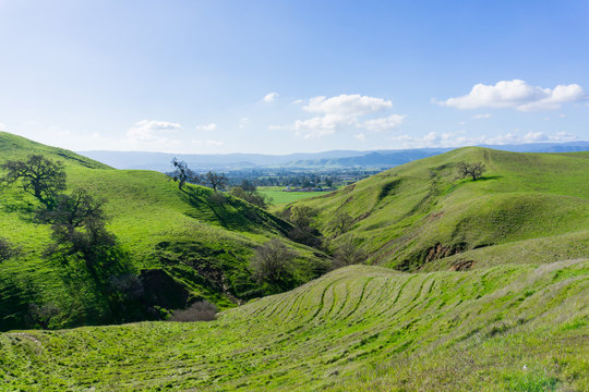 Green Hills And Valleys In Coyote Lake - Harvey Bear Park, Morgan Hill, California