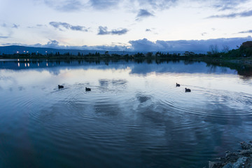 After sunset landscape at Shoreline Lake Park, Mountain View, Silicon Valley, San Francisco bay,...