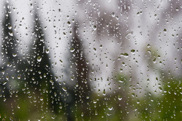 Drops of rain on the window; blurred trees in the background; shallow depth of field