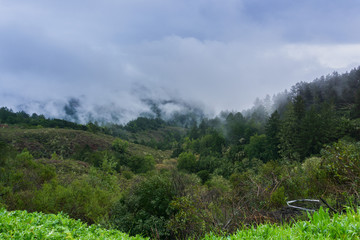 Fog rolling over hills and valleys, California