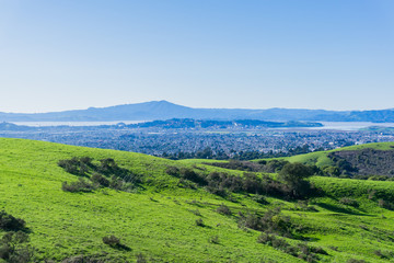 Fototapeta na wymiar View towards Richmond from Wildcat Canyon Regional Park, East San Francisco bay, Contra Costa county, Marin County in the background, California