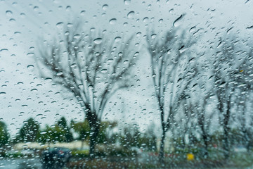 Drops of rain on the window; blurred trees in the background; shallow depth of field; California