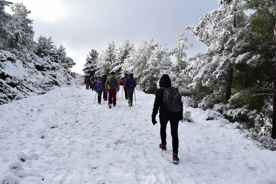  Hiking. From a hikes on the Karia trail.Turgut Castle. The Hydas Acropolis.Karia is on the way. Mugla. Turkey. tourism in pine forest Hike Turkey