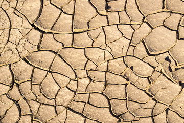 Dry cracked ground, California