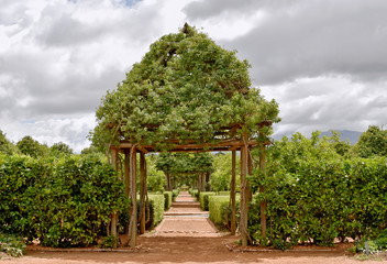Cape Winelands - Babylonstoren - beautiful garden