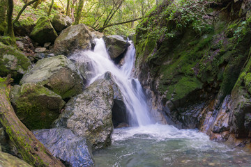 Waterfall in Sugarloaf Ridge State Park, Sonoma valley, California