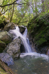 Fototapeta na wymiar Waterfall in Sugarloaf Ridge State Park, Sonoma valley, California