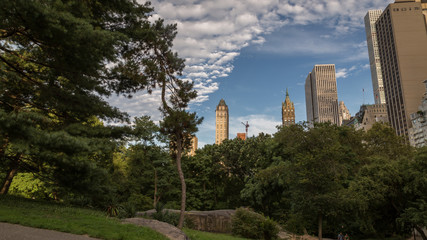 Central Park, NYC