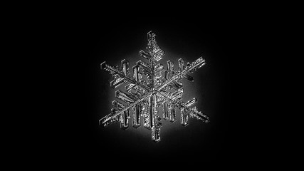 Beautiful snow flake on a light blue background close up