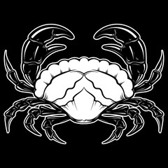 Vector hand drawn  illustration of crab in realistic style isolated.  Hand sketched artwork with animal. Tattoo art.  Template for card poster banner print for t-shirt.