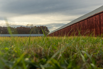 two old red barns in a lonely farm meadow on a warm afternoon with a grassy foreground