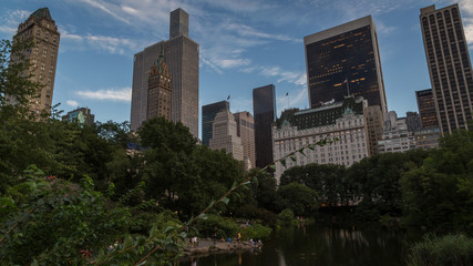 Fototapeta premium Central Park, NYC