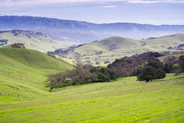 Fototapeta na wymiar Foggy morning in the hills of south San Francisco bay, San Jose, California