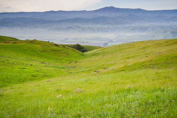 View towards the valley and the Loma Prieta peak from the hills of Coyote Ridge, San Jose, south San Francisco bay, California
