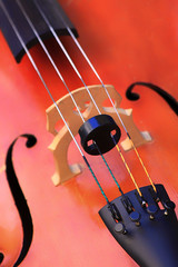 DETALLE DE CUERDAS DE INSTRUMENTO MÚSICAL DE MADERA