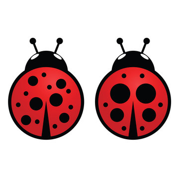 Ladybug Icon In Red Vector Illustration Set One