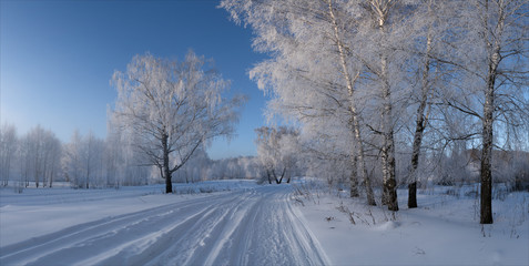 Obraz premium winter landscape with road and trees